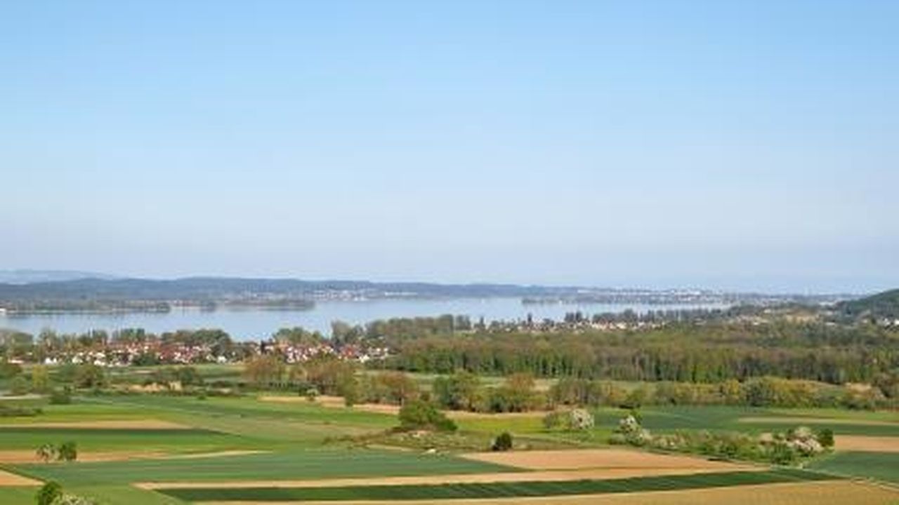 Blick vom Galgenberg auf den Bodensee Blick vom Galgenberg auf den Bodensee